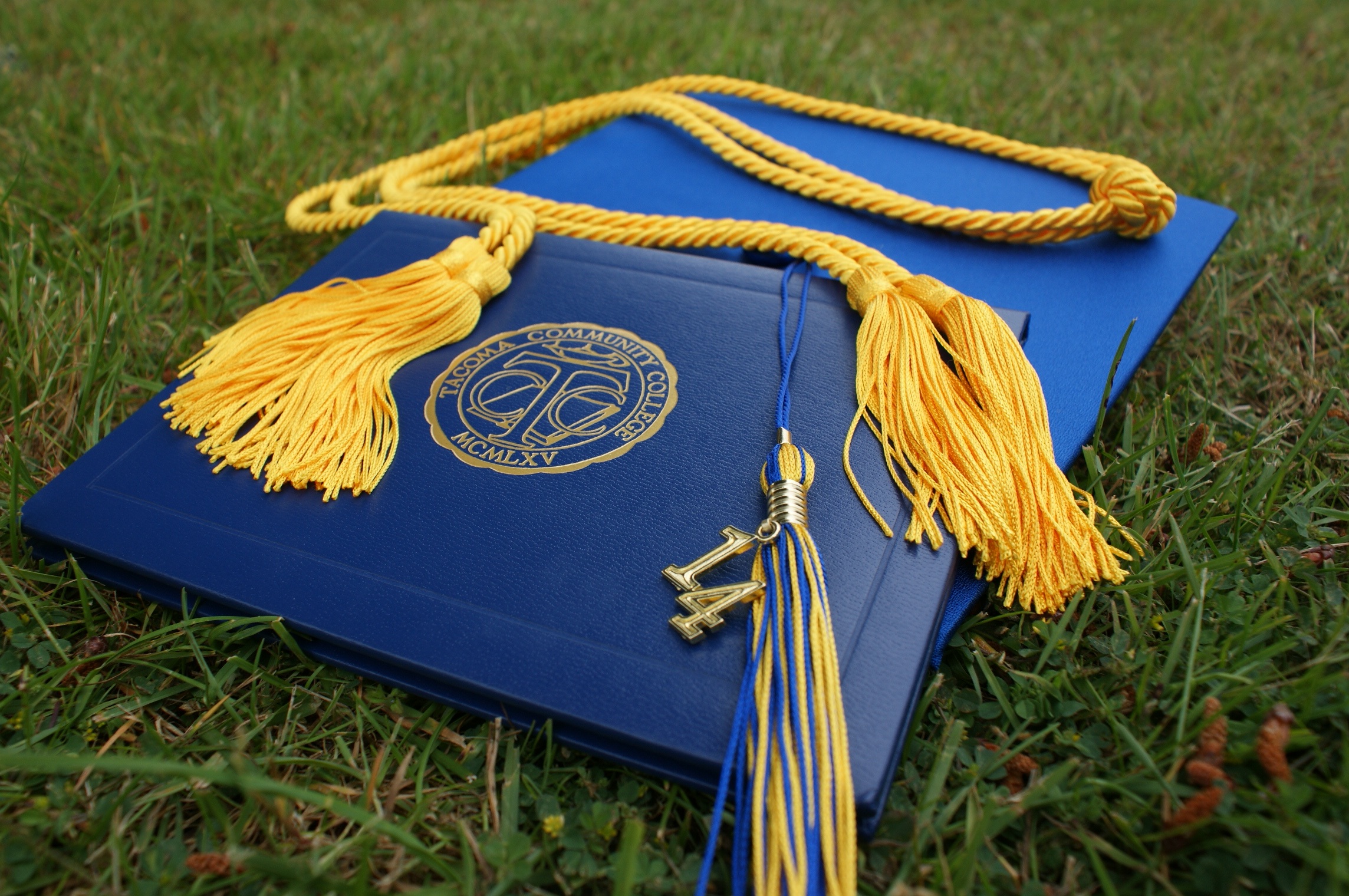 Certifications and qualifications are important to ERP professionals.